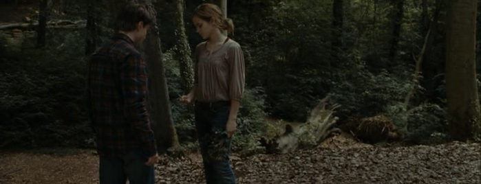 harry potter deathly hallows part 1 harry potter deathly hallows part 1