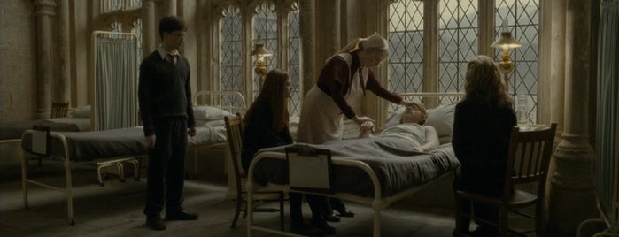 Divinity School is one of Harry Potter and the Half-Blood Prince (2009).