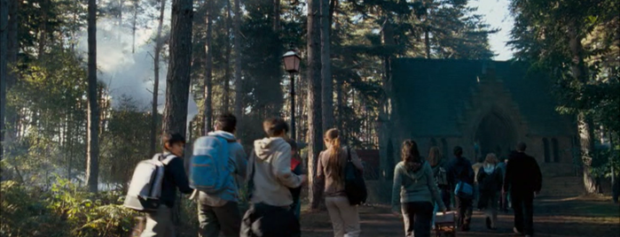 Black Park Country Park is one of Harry Potter and the Order of the Phoenix (2007).