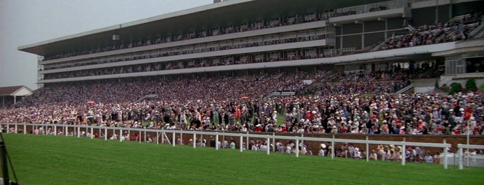 Ascot Racecourse is one of A View to a Kill (1985).