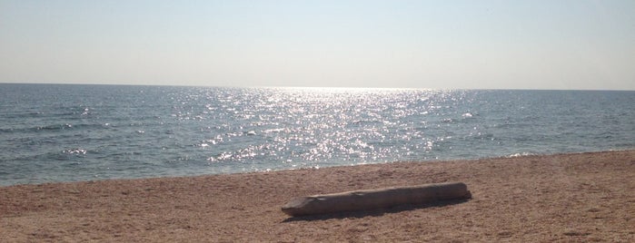 Пляж "Світанок-2" is one of สถานที่ที่บันทึกไว้ของ Oleksandr.