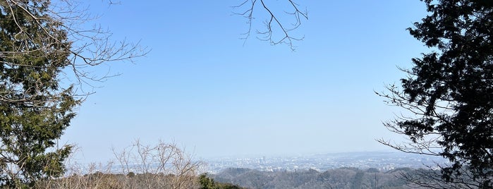 稲荷山展望台 is one of 東日本の山-秩父山地.