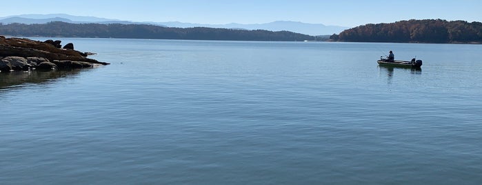 Douglas Lake is one of Lakes.