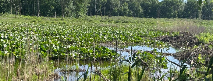 Cowles Bog is one of Parks in Porter County.