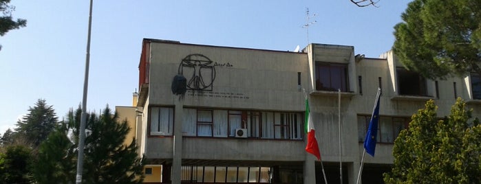 Liceo Scientifico Statale Leonardo Da Vinci is one of Scuole superiori della provincia di Ancona.