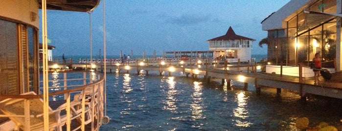 Royal Decameron Aquarium Hotel is one of Mis Hoteles Favoritos.