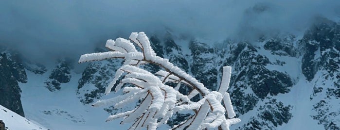 Plan de l'Aiguille is one of Tour du Monc Blanc.