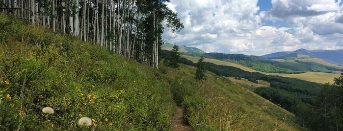 Rocky Mountain Biological Laboratory is one of Locais curtidos por eric.