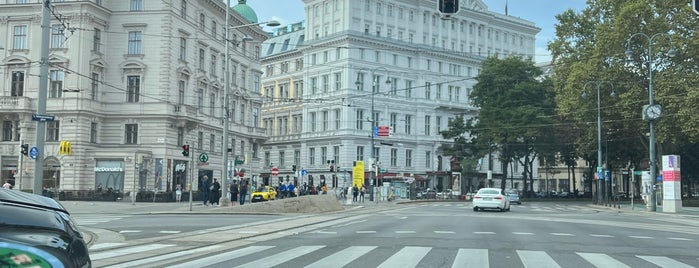 Gelateria Paolo Bortolotti is one of Vienna - Ice-cream.