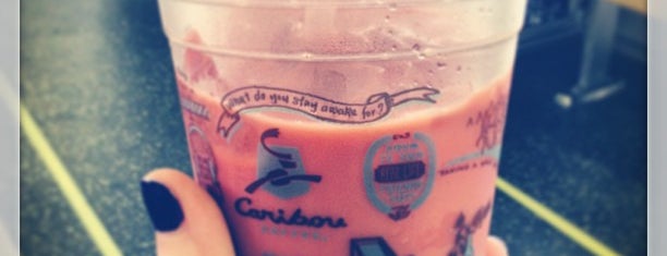 Caribou is one of Caffeinate..