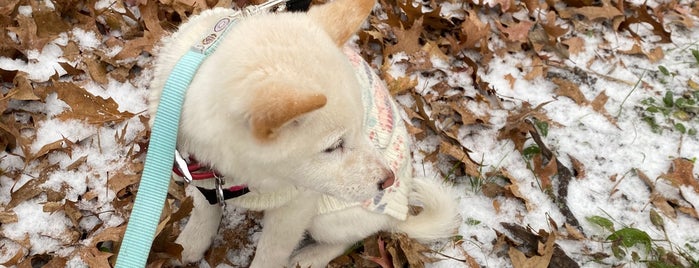 Williamsbridge Oval Dog Run is one of Minnesota.