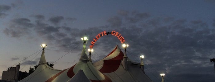Cirque Arlette Gruss is one of Tournée 2014 Cirque Arlette Gruss.