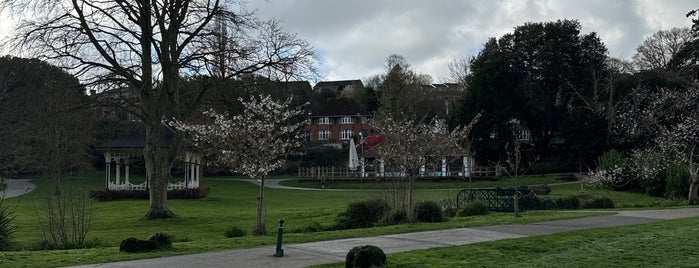 Alexandra Park is one of Sussex.