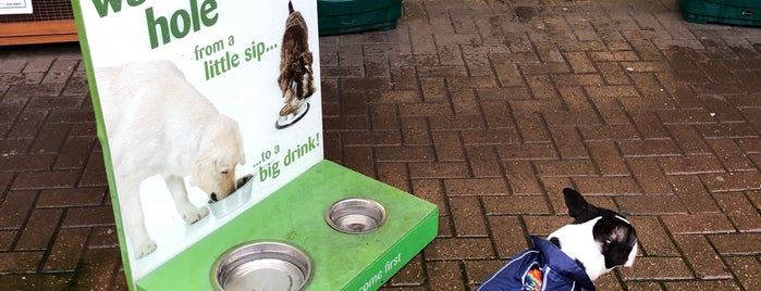 Pets at Home is one of İngiltere Londra Bonus.