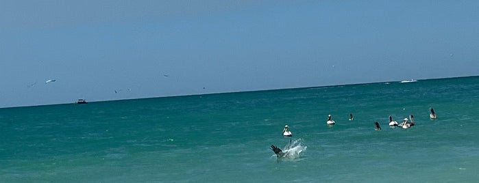 Casey Key is one of Sarasota Beach.