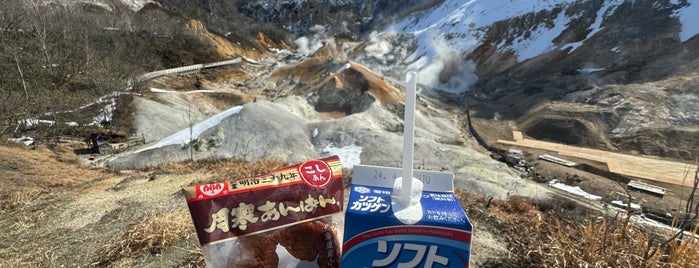 Jigokudani (Hell Valley) is one of Hokkaido.