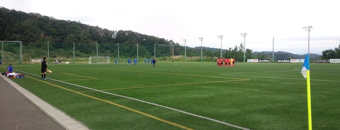 adidas sports park is one of サッカー練習場・競技場（関東以外・有料試合不可能）.