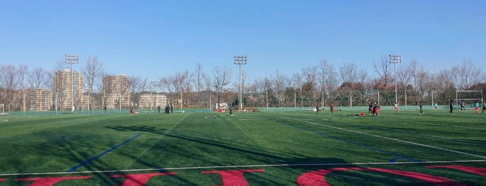 サッカーフィールド is one of サッカー試合可能な学校グラウンド.