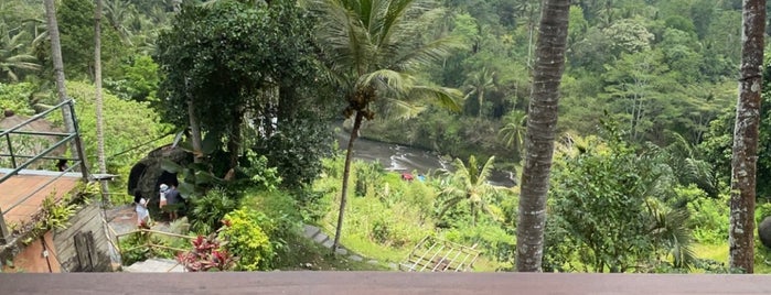 Gorge Bali Swing is one of Ubud.