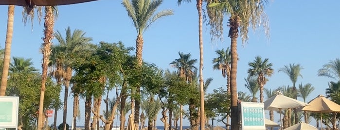 Hilton Fayrouz Resort is one of Sharm El Sheikh.
