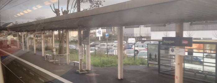 RER Arpajon [C] is one of gares.