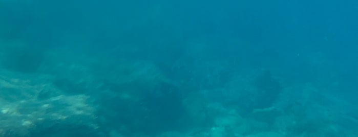Blue Adventures Diving Ltd is one of Crete.
