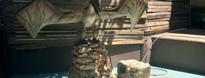 Dinosauria Park is one of Crete.