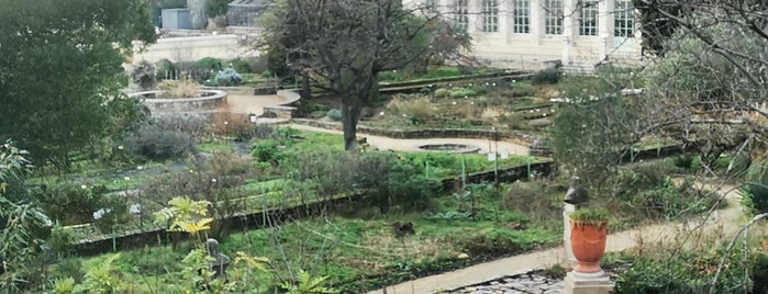 Jardin des Plantes is one of MTP.