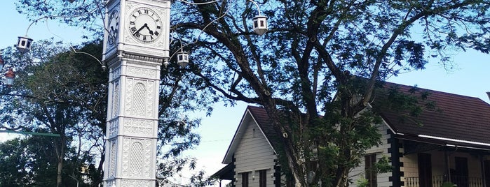 Clock Tower is one of victoria.