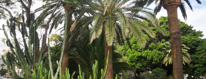 Ceuta is one of Locais curtidos por Antigoni.