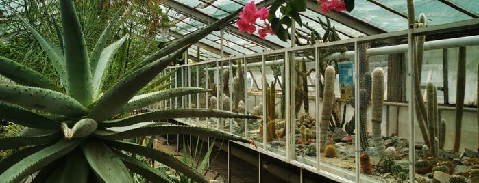Botanická záhrada is one of Kosice.
