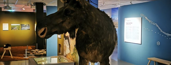 Västerbottens Museum is one of Ute i landet.