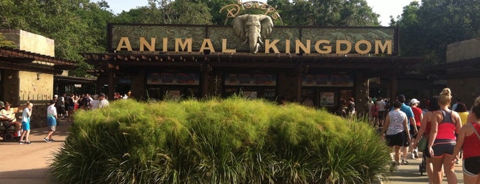 Disney's Animal Kingdom is one of WdW Animal Kingdom.