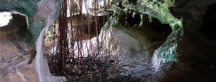 Bat Cave is one of Lugares favoritos de Stephanie.