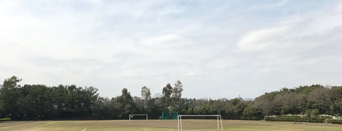 相模川河畔スポーツ公園 is one of 神奈川県の公園.
