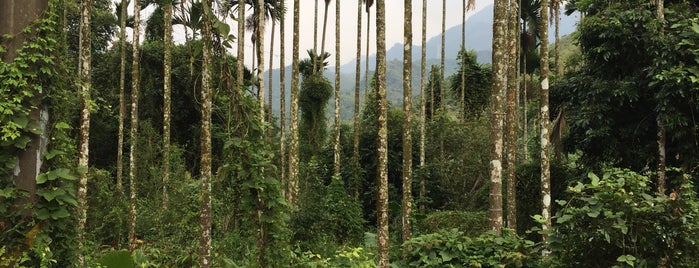 Guanzihling is one of Tempat yang Disukai Sonia.