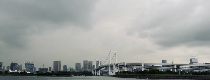 Odaiba Beach is one of swimmers.