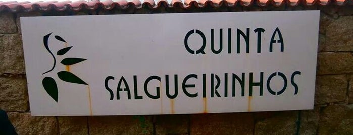 Salgueirinho is one of Others List.