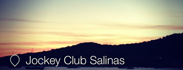 Jockey Club Salinas is one of Ibiza.