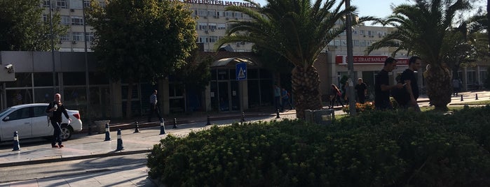 Egeliyiz Cafe is one of Ege Üniversitesi Kampüsü.