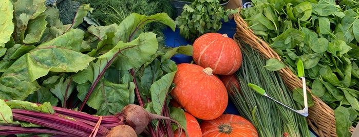 Nevada City Farmers Market is one of Places I Want To Go.