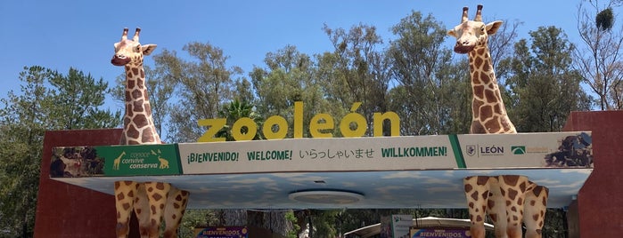 Zooleón is one of Lugares Por Visitar.