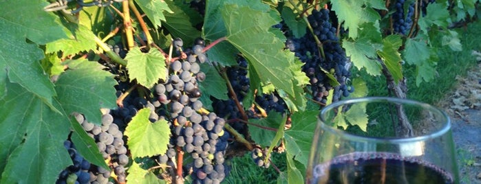 Hinterland Vineyards is one of Minnesota Winerys.
