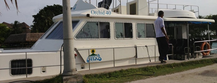 Orchid 40, Bandos Staff Ferry is one of BANDOS.