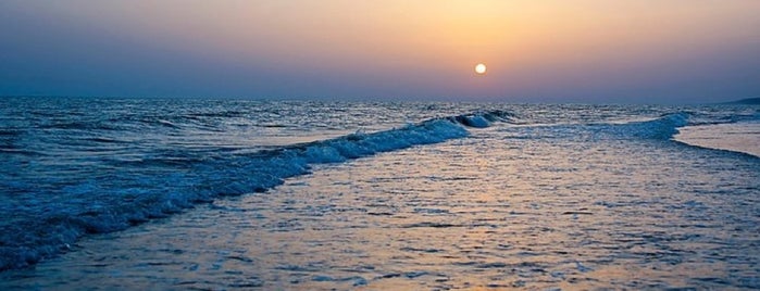 Playa de Matalascañas is one of Lugares favoritos de Juanma.