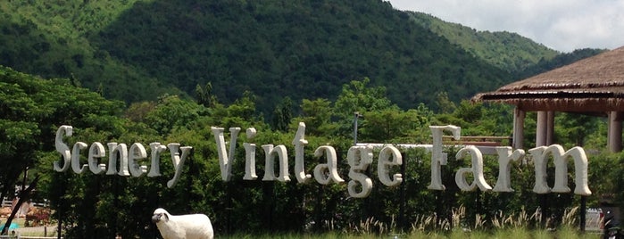 The Scenery Vintage Farm is one of Suan Pung.