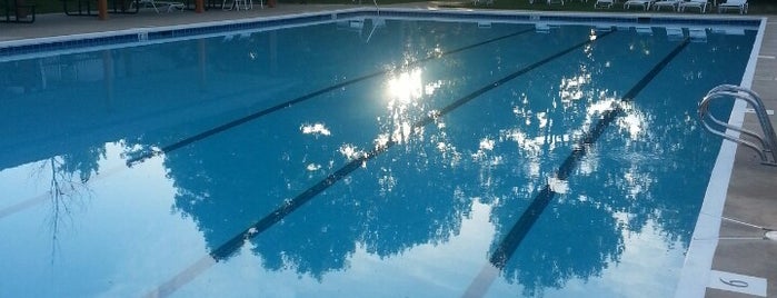 the pool is one of Story of My Life.