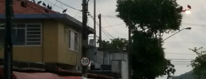 Rua do Peixe is one of Santos.