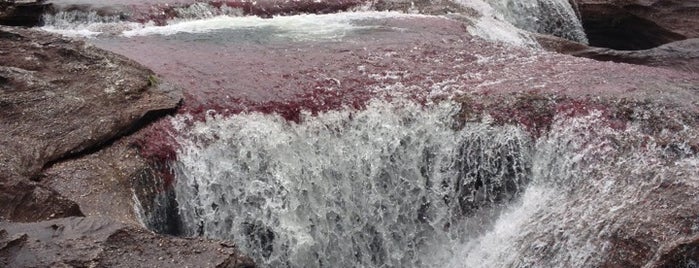 Caño Cristales is one of Lugares Incríveis.