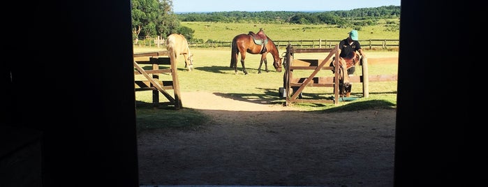 Haras Godiva is one of สถานที่ที่ Daniela ถูกใจ.